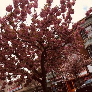 Meet your Posher, Anyea